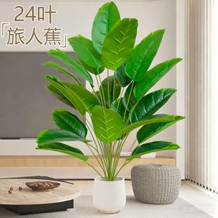 �羳����Gֲ���˽��Ꭷֲ��Ž���͏d��ر��W�L�辰�٘����l