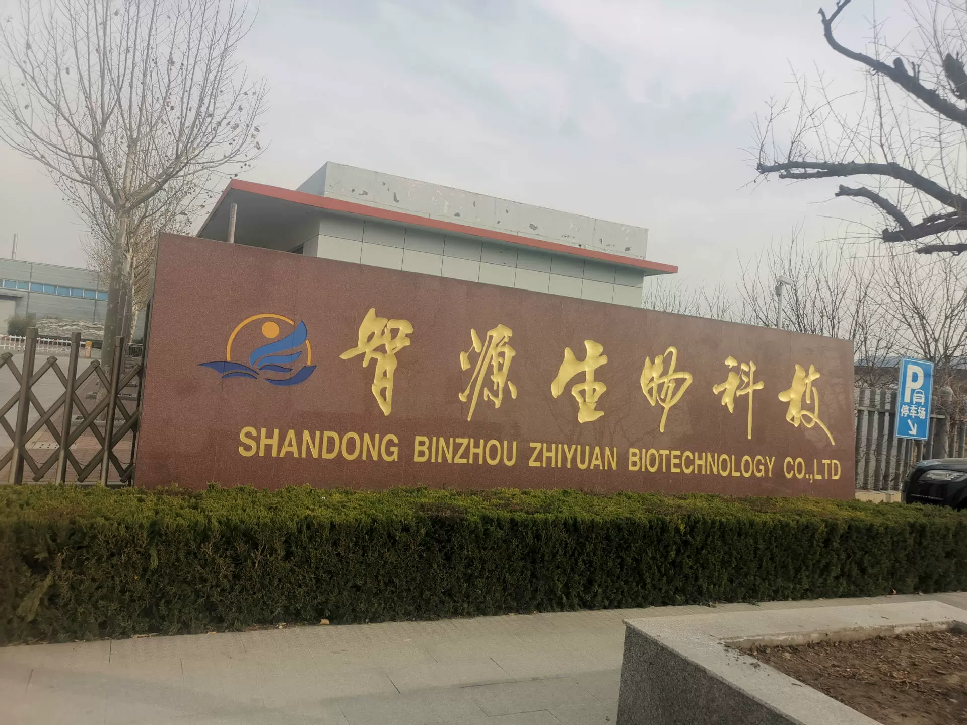 【滨州智源】批发 α-环糊精 食品级 阿尔法环糊精