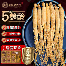 Lɽ˅|خaɅݾҜׅ֧ɽضYƷ