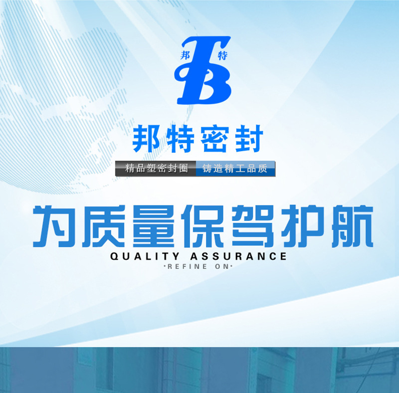 B027--一件代发轴用杆用耐油防水油封密封圈-夹布组合塑料