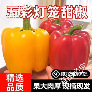 ���r�ʽ���ʽ������Fժ�A���G�ཷ���\�����r�߲˰��]���x��S