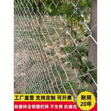 ��\䓽z�W�����F�z�W���ھW�Bֳ�W�o�ڹ�ţ���i���β��P���o���W