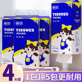 丽邦提挂式抽纸悬挂抽取式卫生纸家用擦手纸厕纸大包平板卫生纸巾
