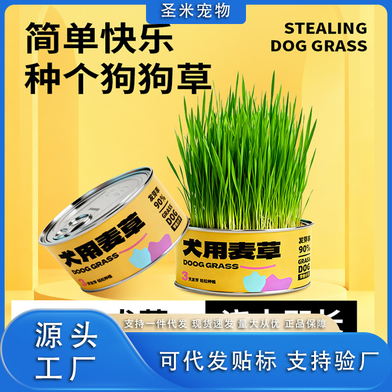 Dog Grass, Wheat Grass, Edible Grass for Dogs, Wheat Grass for Dogs, Soil-Free Dog Grass Snacks for Lazy People, Special for Dog Hair Loss to Promote Digestion