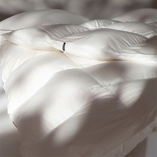 Gaoding Imported Hungary 95 White Goose Down Winter Quilt Light Luxury Wind Warm Single and Double Superior Hotel Down Quilt Core