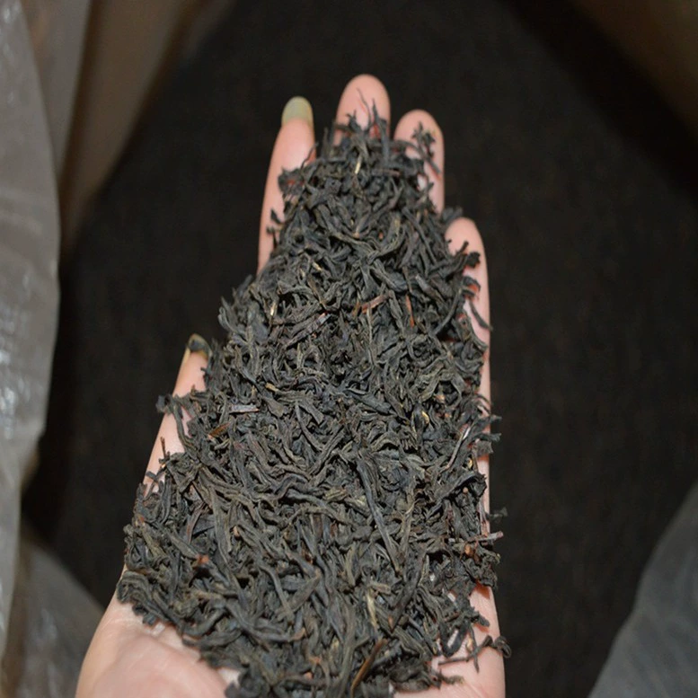 2023 Весенний чай Zhengshan Небольшой сорт сыпучего чая