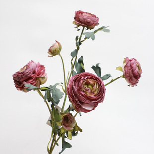 ����6�^��߅ĵ�� �ҾӾƵ��b��滨 �辰�zӰ���߷���¶ɏ��