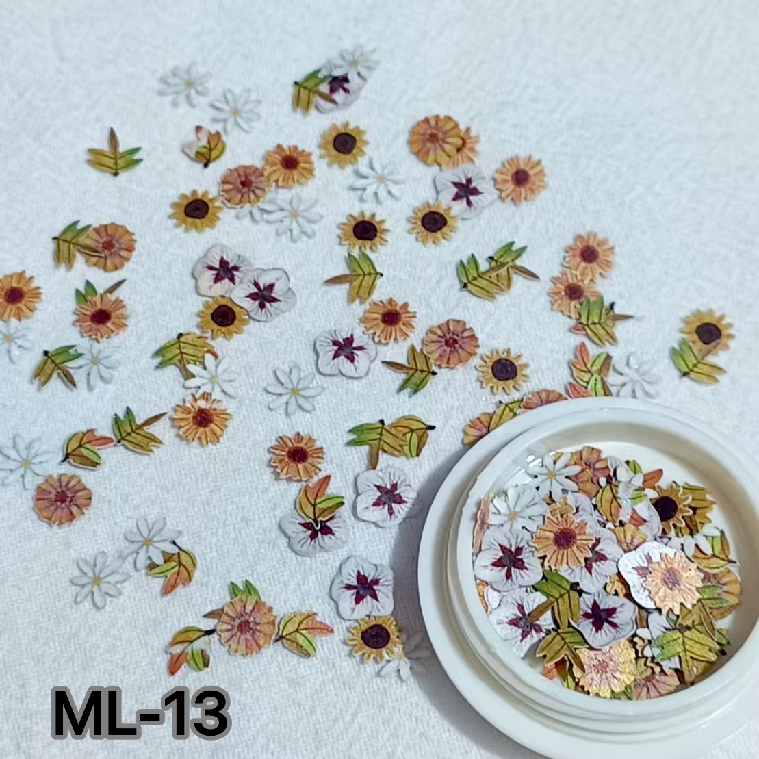 ML-13