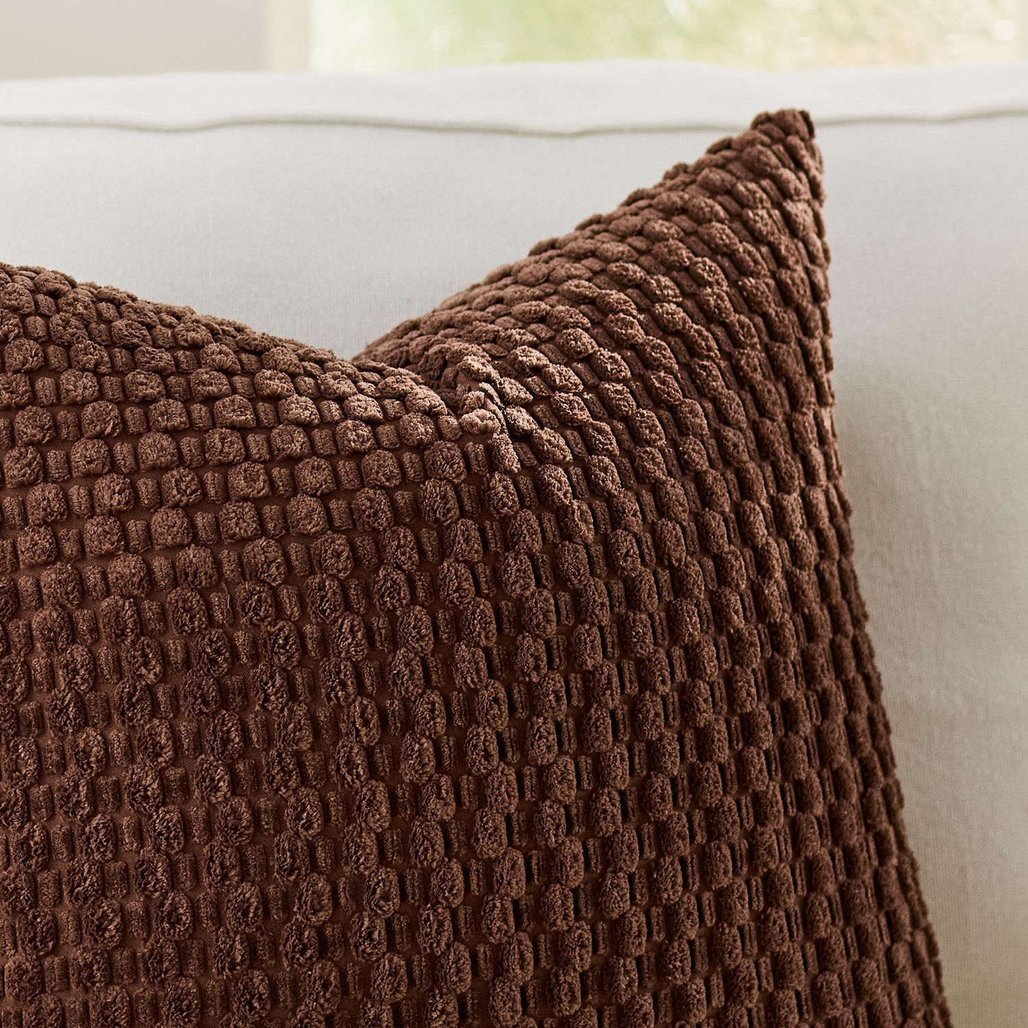 버블 그레인 커피 컬러