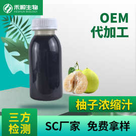 柚子浓缩汁 BX65 商用果汁果酒原料 现货供应 柚子浓缩清汁