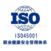 广东深圳宝安贸易公司ISO45001认证咨询 职业健康体系投标加分