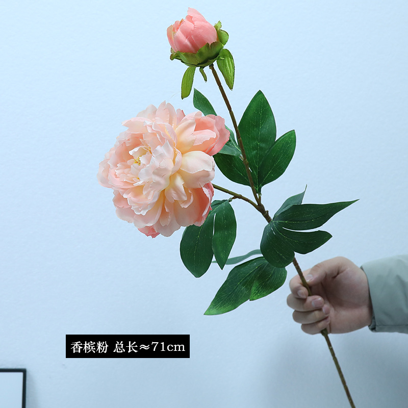 4 # 샴페인 파우더