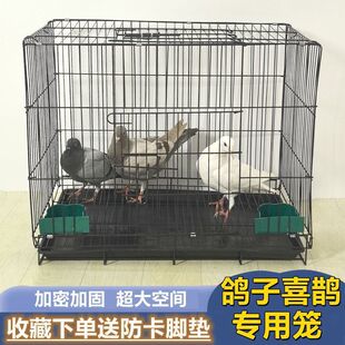 ���ӻ\�ۯB�Bֳ�\�҃��¿��Bֳ��ֳ�\ِ����������B���ýM�b