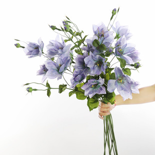 �F��ɏ�ٻ���c��ˇ�羳���l���滨�F��ɏ���Ҿ��b廨��������