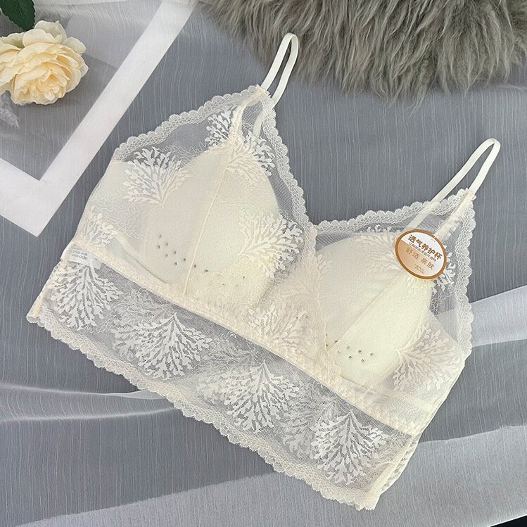 우유 화이트-1 팩 [3 일 전용]]