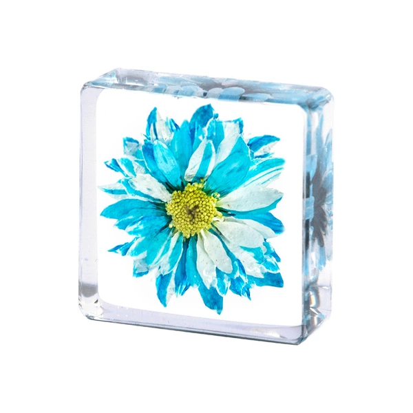 3.8cm small square green core white daisy