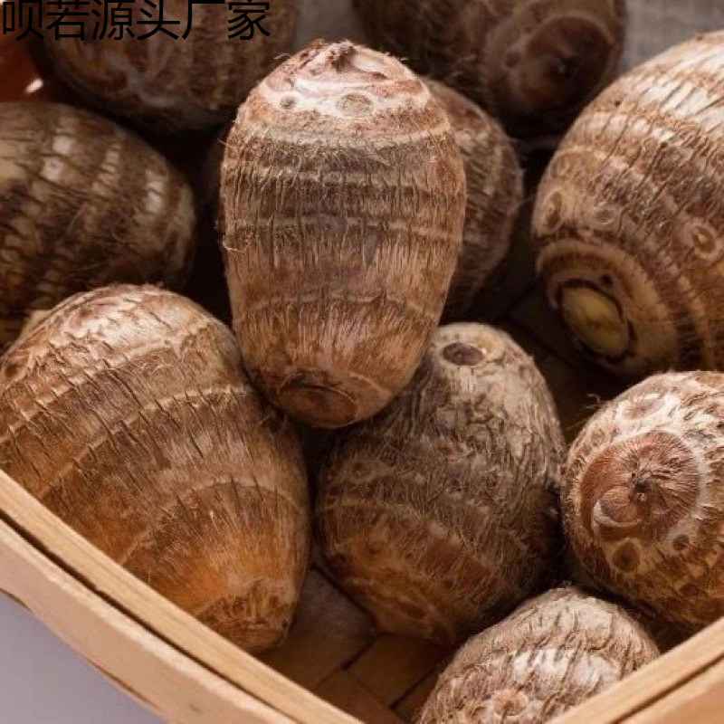 5斤装山东新鲜牛奶小芋头香芋现挖毛芋头芋艿当季农家芋仔整箱厂