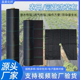 跑道草坪;遮阳网;安全绳