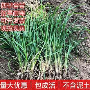 ���~������������ͥԺ�G��ֲ���ͺ��ͺ����A���ļ������L�~������