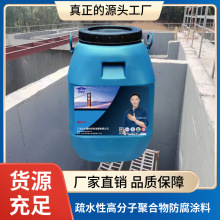 疏水性高分子聚合物防腐涂料抗水冲击成膜性好 耐盐碱耐腐蚀性强