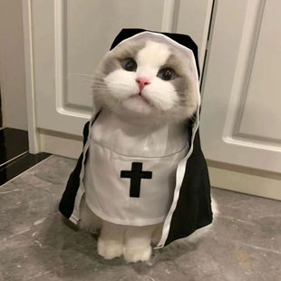 Pet New Funny cos Transformation Decoration Women's Pullover Clothes Small and Medium Cat Dog Muppet Bear Headwear