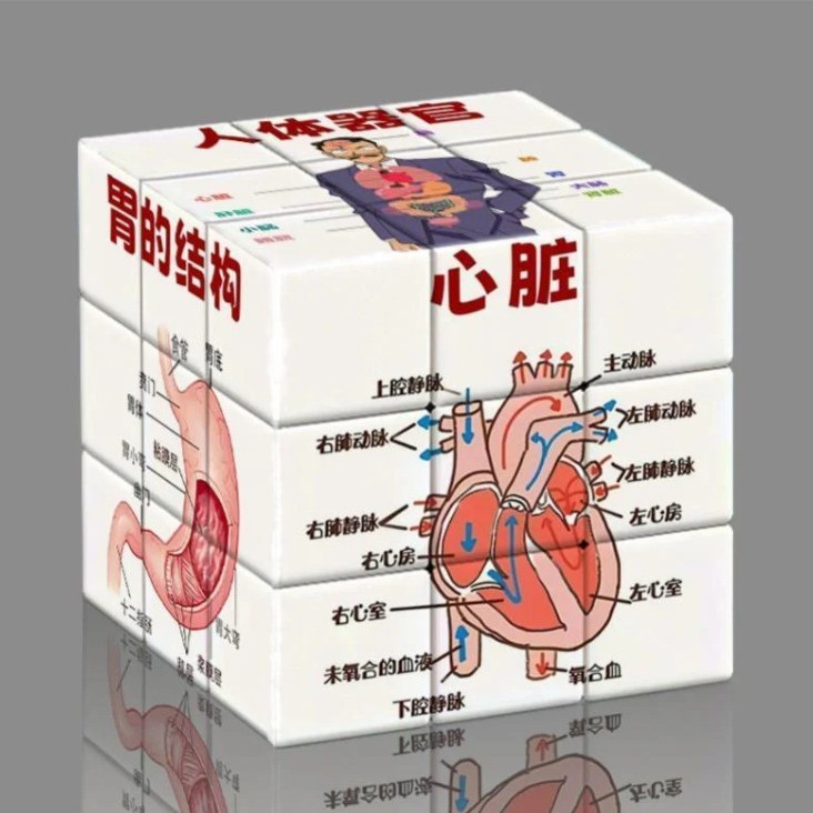 解锁新知识x官魔方定制图案不掉色旋转减压玩具文化和科教益智