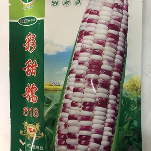 ����Ŵ618���׷N�����l �����rʳ����Ŵ���׷N200��932�N��