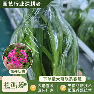 ���������m ���m 838ƿ��M�����״�� �҃������Ի��� ����r��