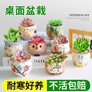 ��������ֲ�����ԽM�τ����҃��ײ;��^�����k�����׃��@���Ի���