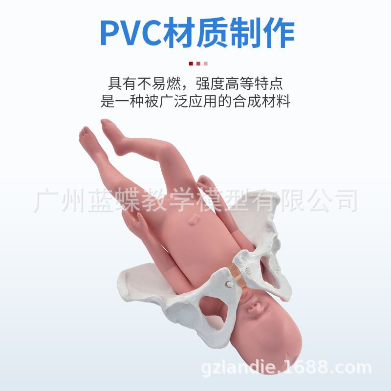 ��������̥����������ʾ��ģ�͸����ƿɻŮ�Թ���������ʾ�̾�