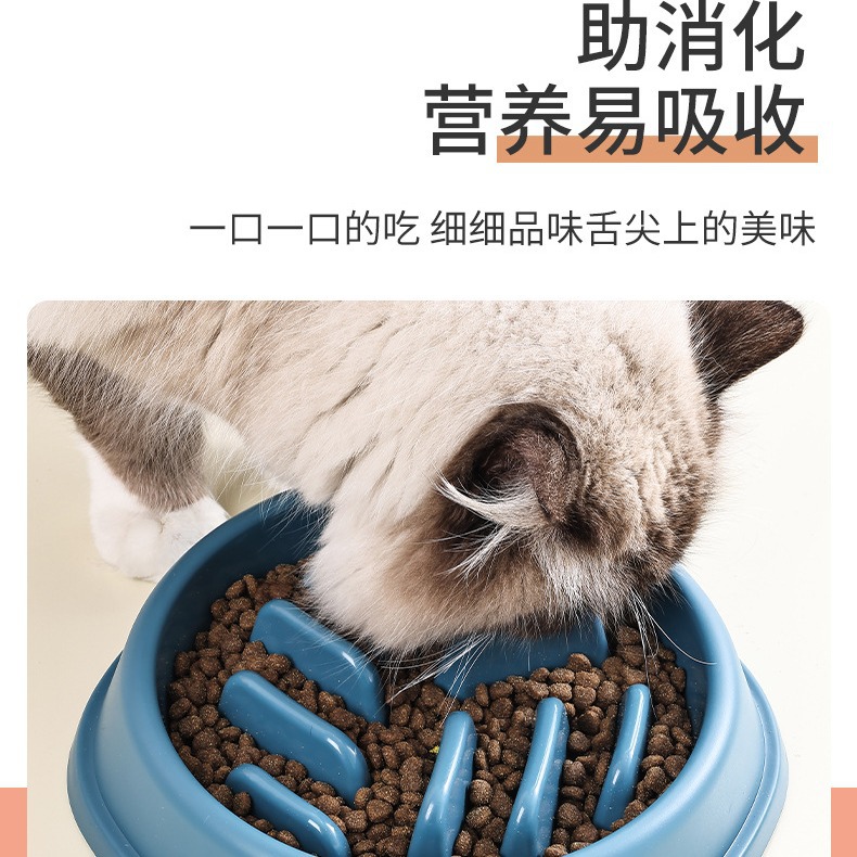 Comedero para perros, comedero para gatos, comedero de alimentación lenta, comedero de alimentación lenta antiasfixia para perros, comedero de gran capacidad, antideslizante, comedero para mascotas antivuelco