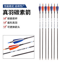 �羳���l����̼��̼�ؼ��U�ͺϷ����������⸂���������̼�ؼ�