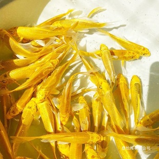 �\�����~�~���~���~���B�ͻ���ˮ�~�~��С���~�^�p�~