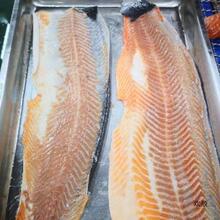 三文鱼鱼皮鲑鱼皮整张净重4.5斤左右鱼类