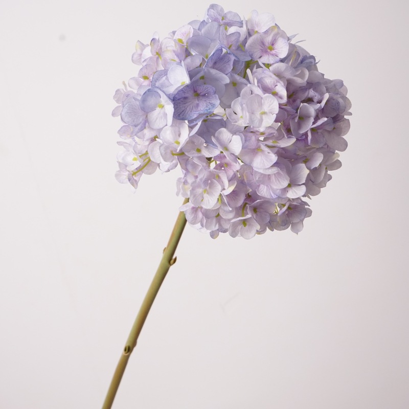 네덜란드 수국 큰 가지 - 연한 보라색