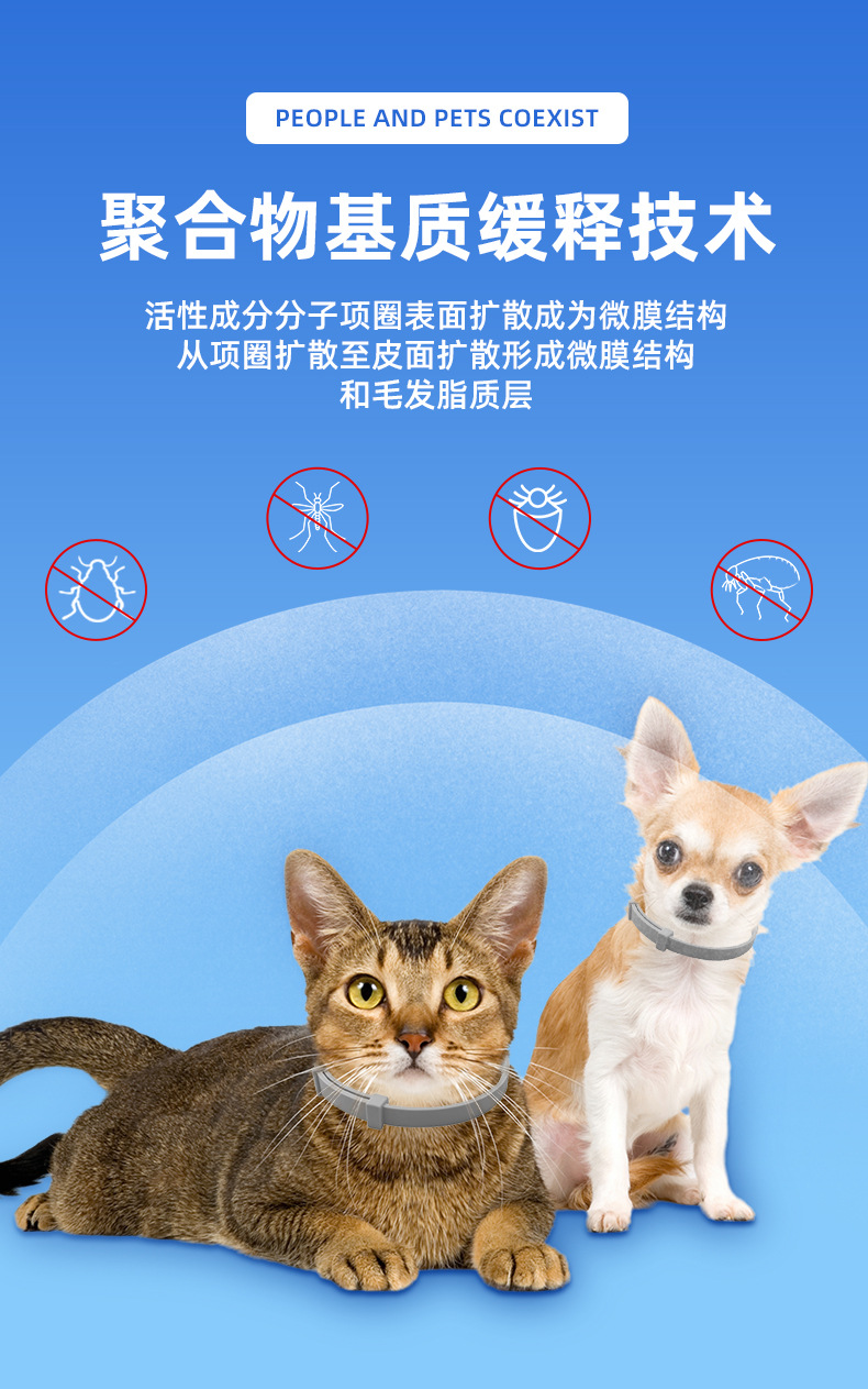 O1CN018Glwiw1UGvZlOwteF_!!2212730282491-0-cib.jpg?__r__=1722315852218