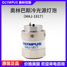 ���ְ�˹ OLYMPUS MAJ-1817 �ڿ��� ���Դ��