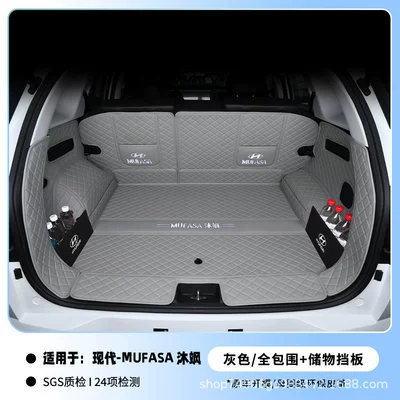Trunk Mat: Trunk Mat Modification Parts, Beijing - sky-gray-full-coverage-baffle-112