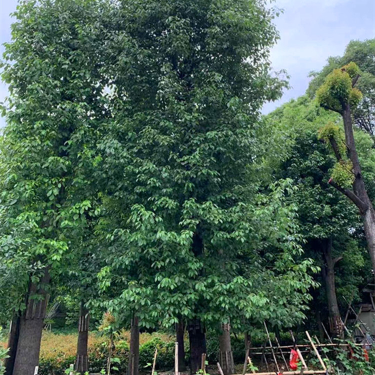 ΢��ͼƬ_20230406110703