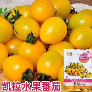 �Sɫ�}Ů���N�ә���ˮ��С�����߲˷N�����t���N�����Դ��ﲥ����