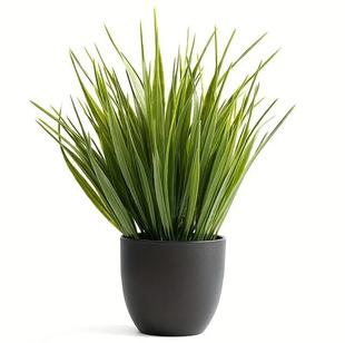 Cross-Border Amazon Simulated Green Plants, Spring Grass Potted Plants, Indoor and Outdoor Decoration Photography, Simulated Green Plants, Creative Ornaments, Bonsai