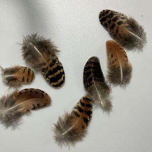 ���yС��ë3-10CM���c��YƷ���b�����^����W���b�o����ë