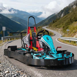 成人场地竞速电动卡丁车大人可坐4000W俱乐部四轮漂移赛车F1跑车