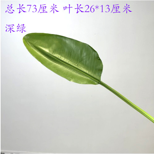 Bird of Paradise Leaves Dark Green-Small