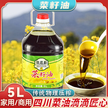 四川菜籽油物理壓榨正宗農家非轉基因菜籽油家用商用菜油5L桶裝