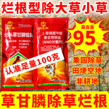 95�ݸ���@�}���݄����l��؛�r�Y��ݸ��׳��ݠ��������@