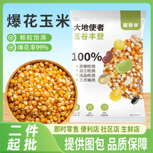 爆米花玉米粒球斤球爆500g球形原料美式五谷杂粮批发源头工厂