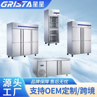 广东星星冰柜商用冷冻柜 酒店冰柜厨房专用立式冷藏保鲜冰柜冰箱