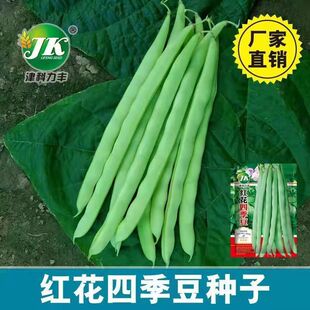 �t���ļ����N����Ʒ�N�t�����v��ܿ���N�Ѳ˶�����ԭ�S�ʰ�