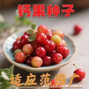 ���W���}���N�ӡ����}����N���ϱ����͟��ͺ��ļ��׷N��ˮ���N��